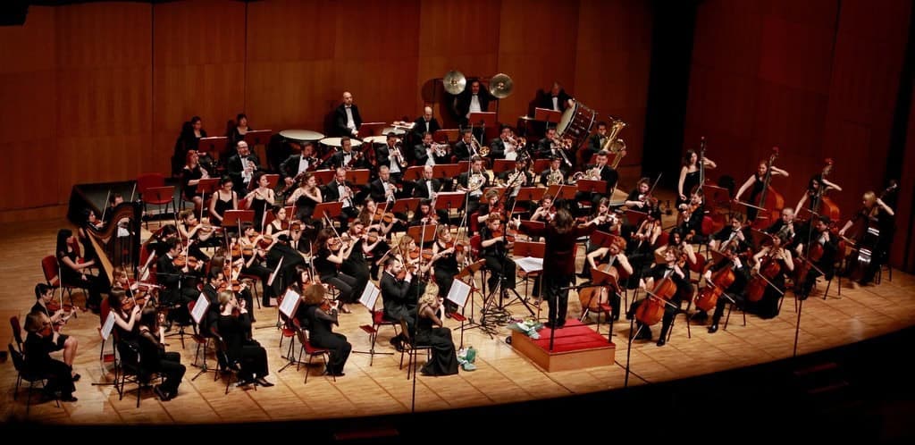 Konser Performansı